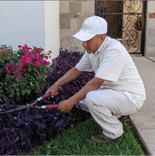 quivira residential services